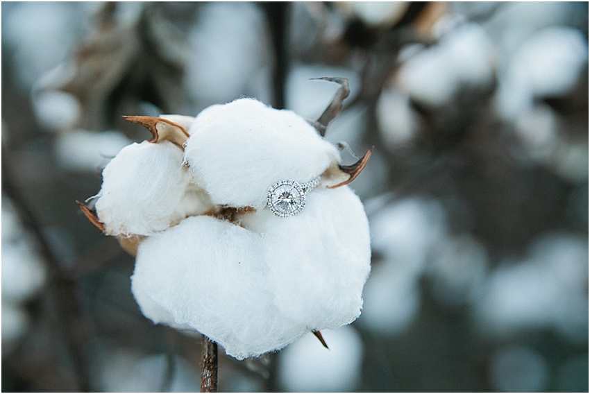 engagement ring in a cotton field